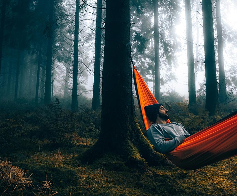 Mehr über den Artikel erfahren Quam Vulputate Dignissim Suspendisse Intellus